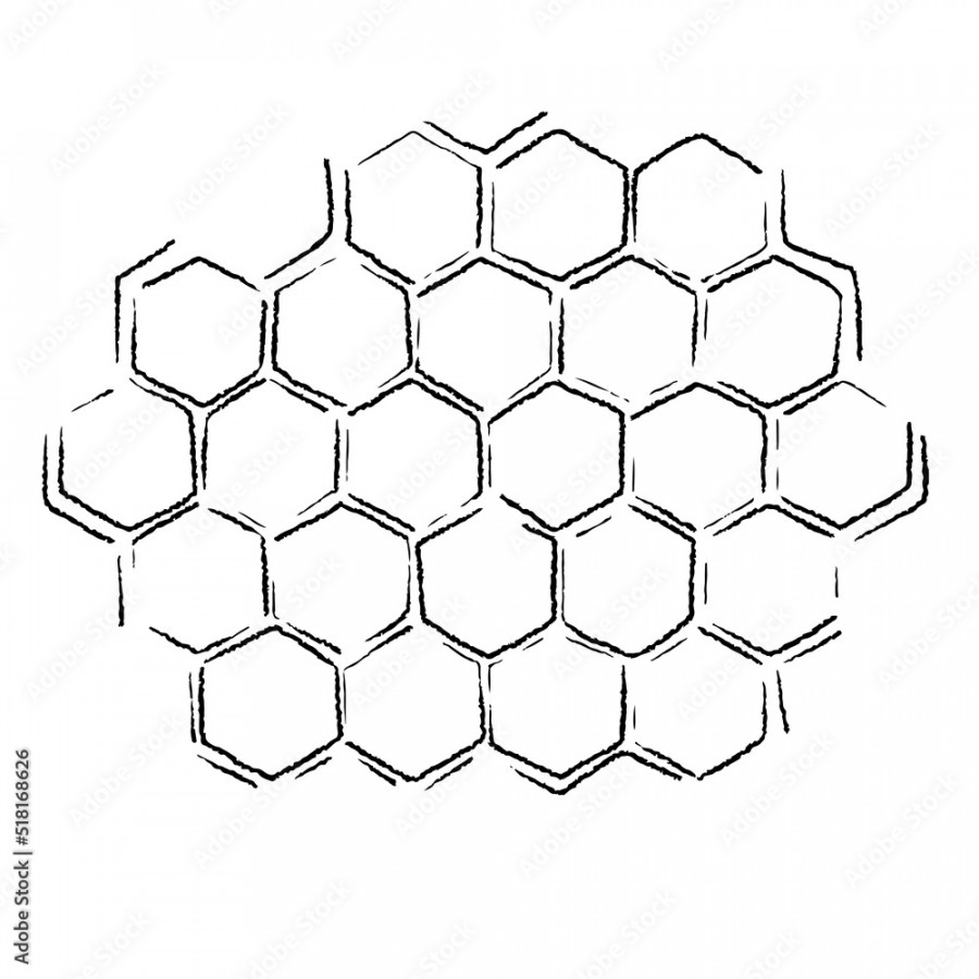 hand drawn honey comb. propolis honeycomb sketch