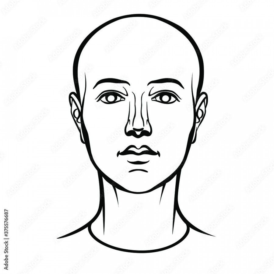 Hand drawn model of androgynous human head in face