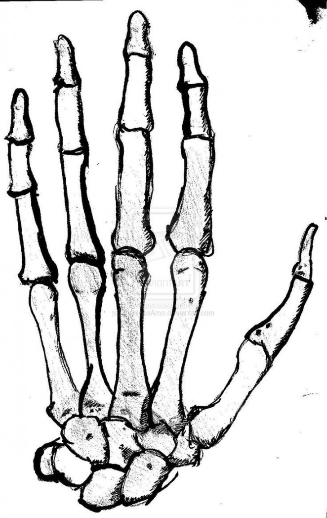 Hand Sketch  Skeleton hand tattoo, Skeleton hands drawing