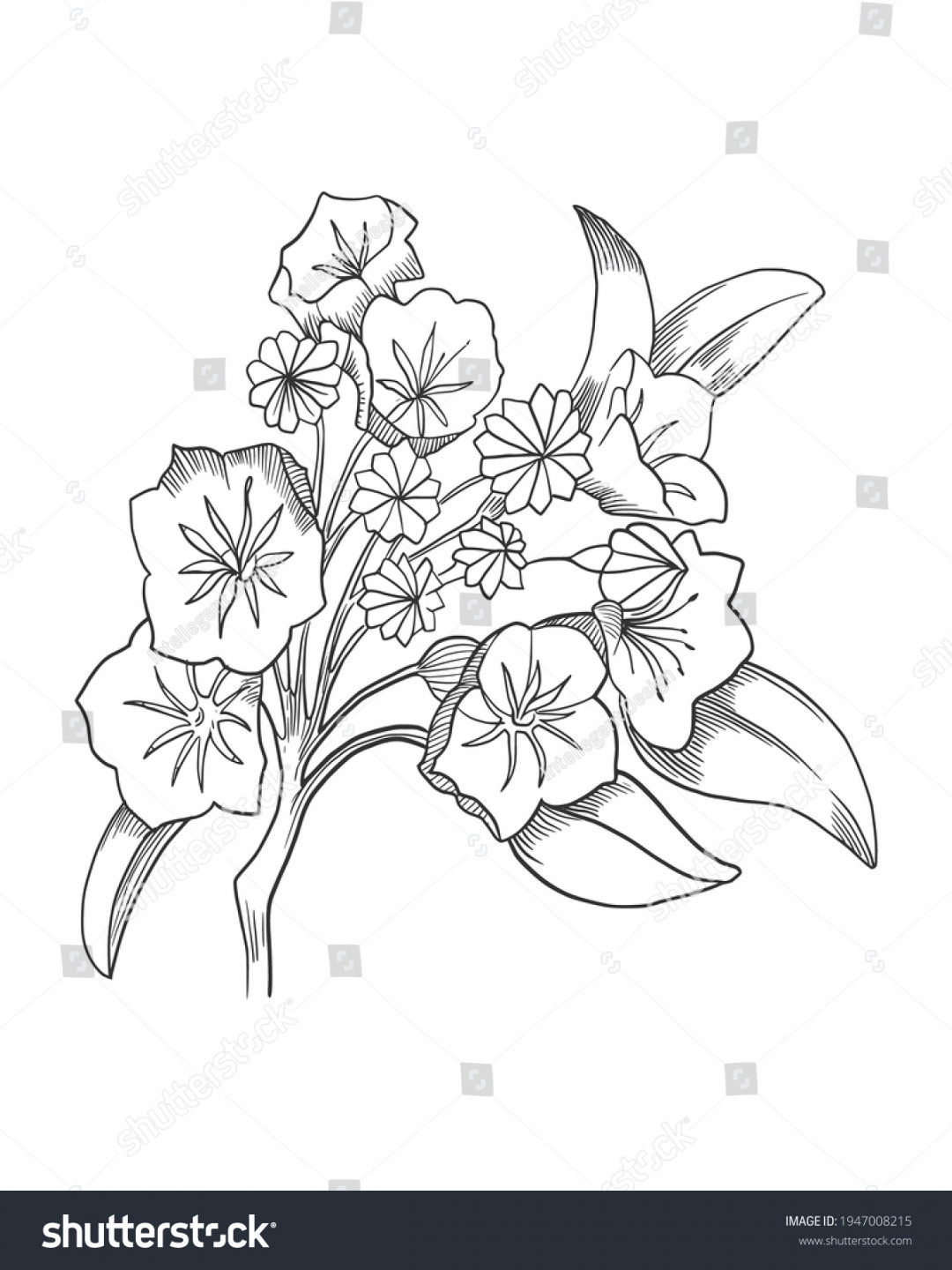 Handgezeichnete Skizze Illustration der Laurel-Blume: Stock