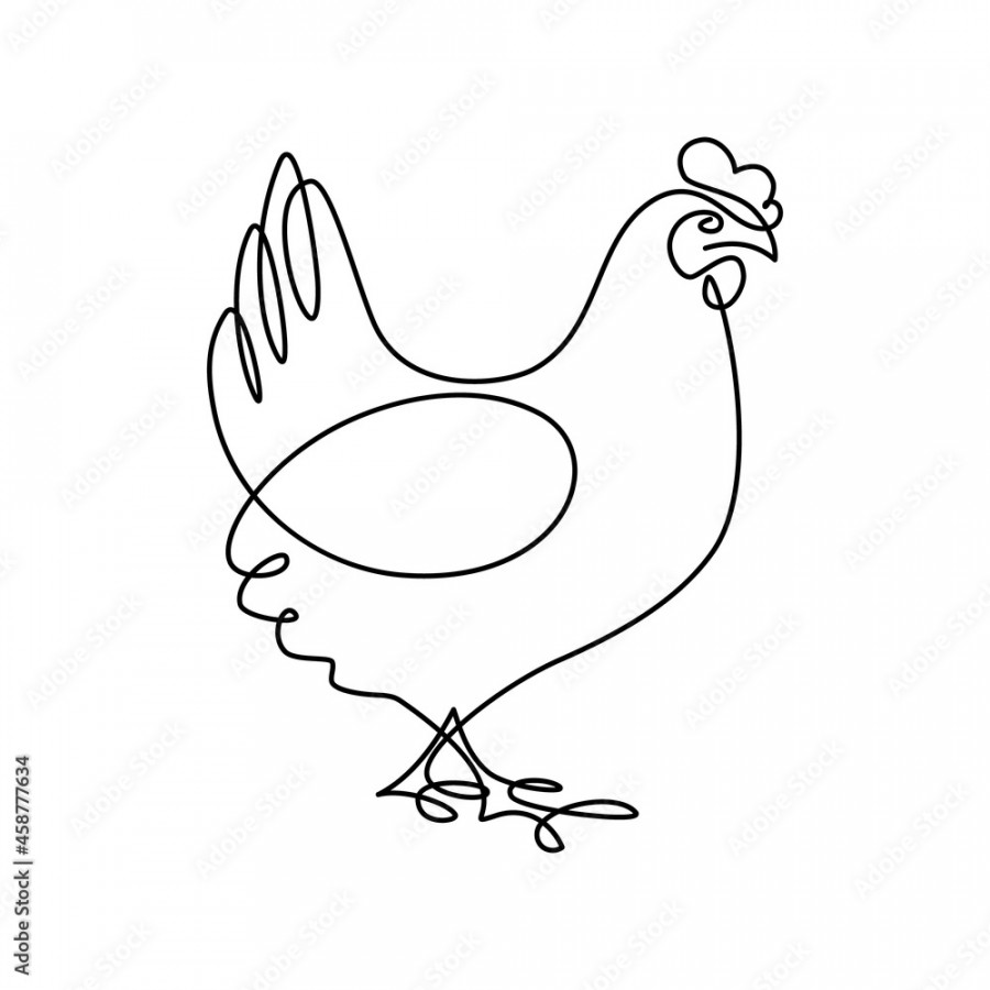 Hen in continuous line art drawing style