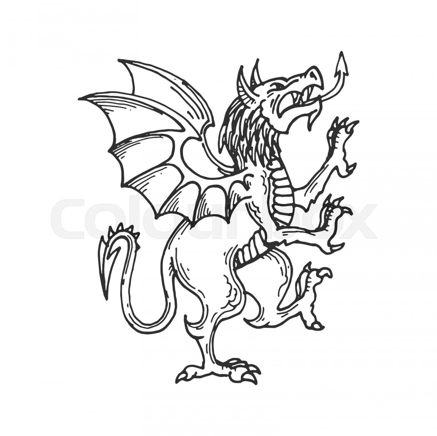 Heraldic Medieval dragon sketch, fantasy animal  Stock vector