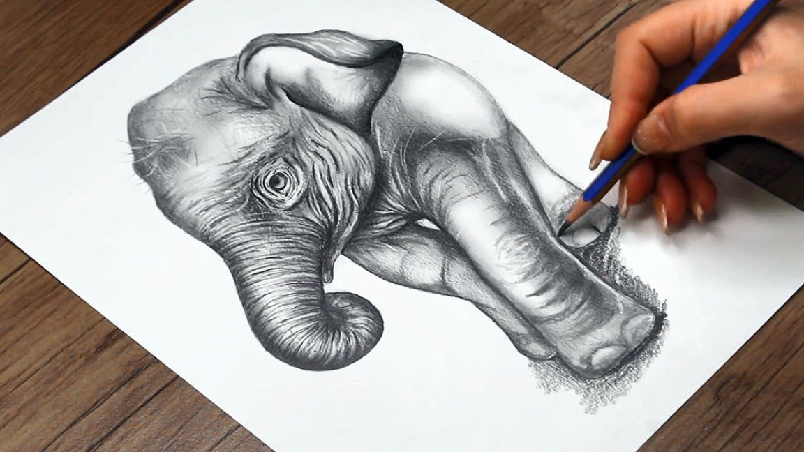 How to Draw a Baby Elephant Step by Step  Realistic Baby Elephant Drawing