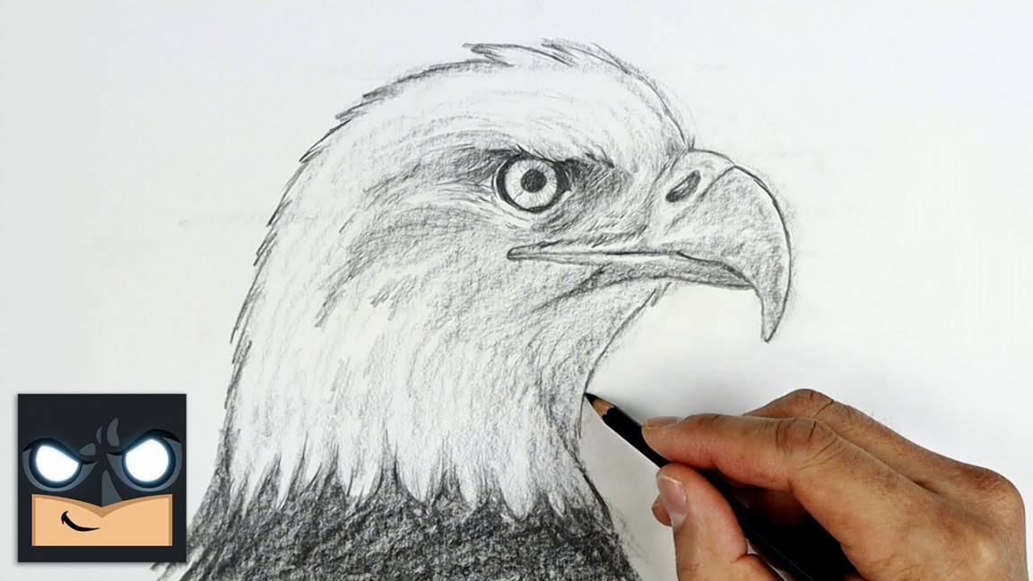 How To Draw a Bald Eagle  Sketch Sunday