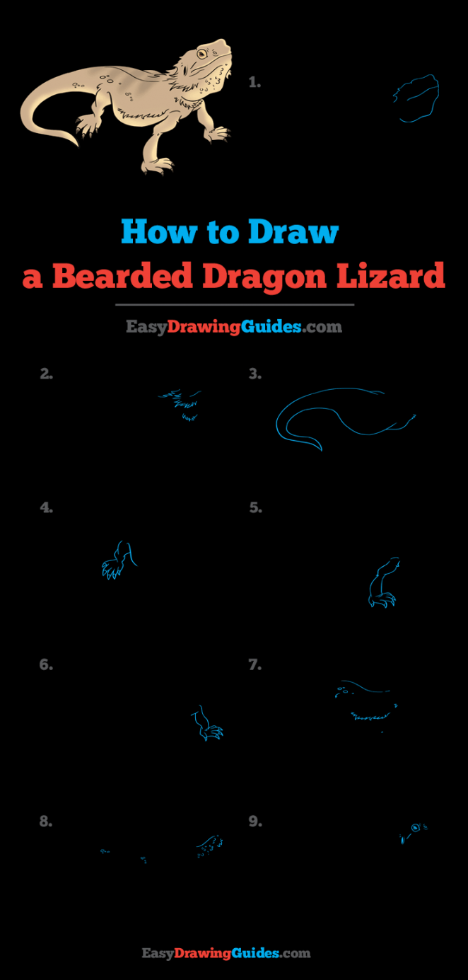 How to Draw a Bearded Dragon Lizard - Really Easy Drawing Tutorial