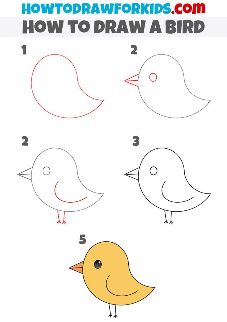 How to Draw a Bird for Kindergarten - Easy Drawing Tutorial For