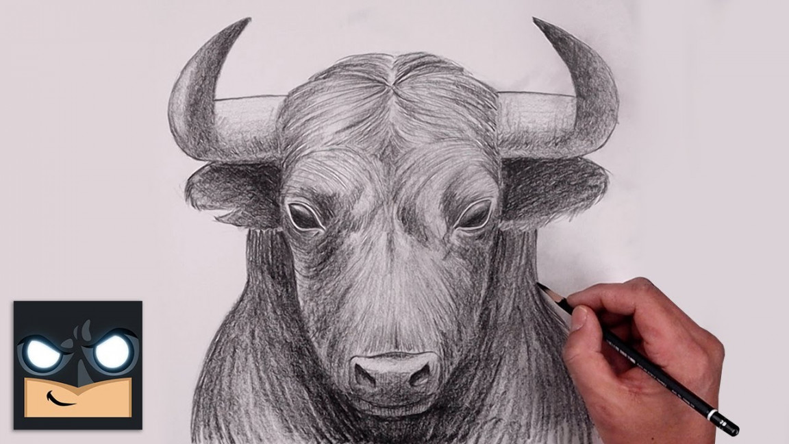 How To Draw a Bull  YouTube Studio Sketch Tutorial