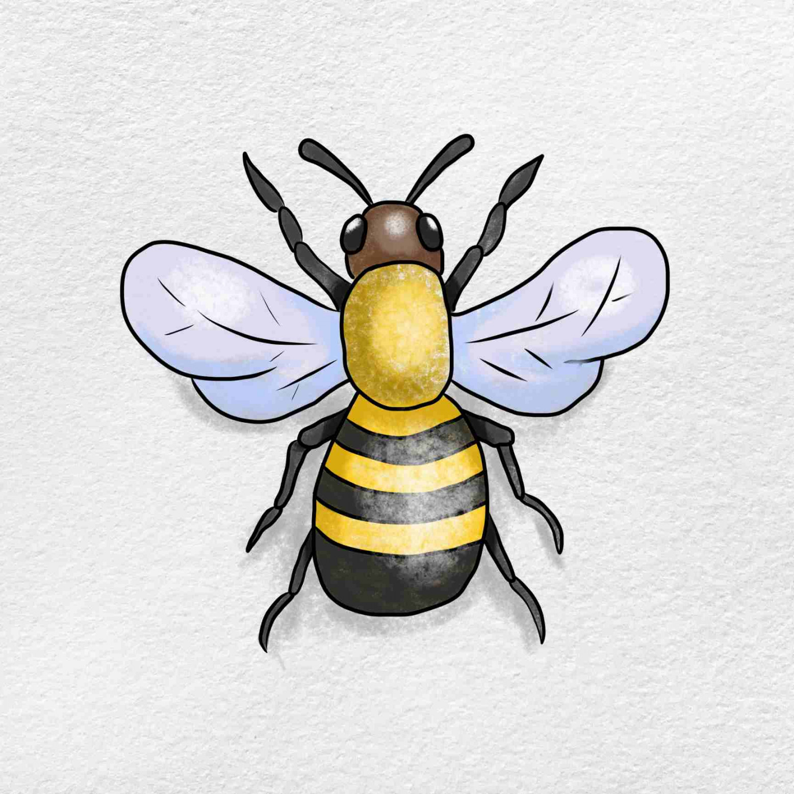 How to Draw a Bumblebee - HelloArtsy