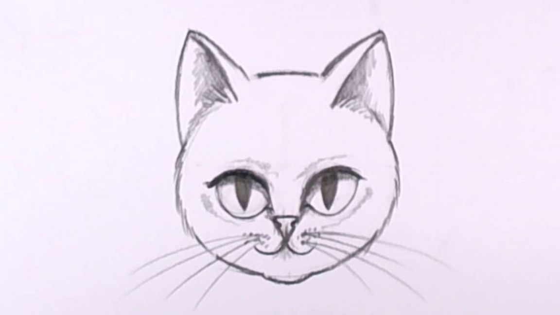 How to Draw a Cat Face in Pencil - Drawing Lesson - MAT