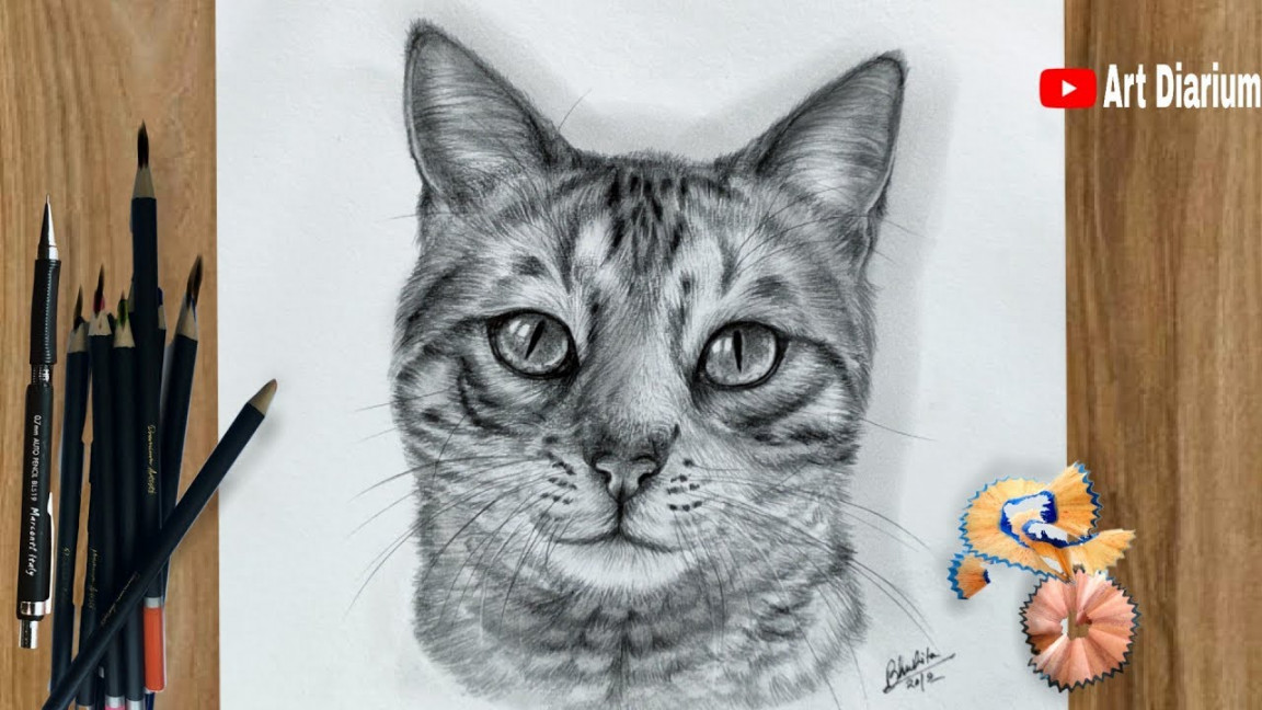 How to Draw a Cat / Pencil Drawing Tutorial for Beginners - step by step