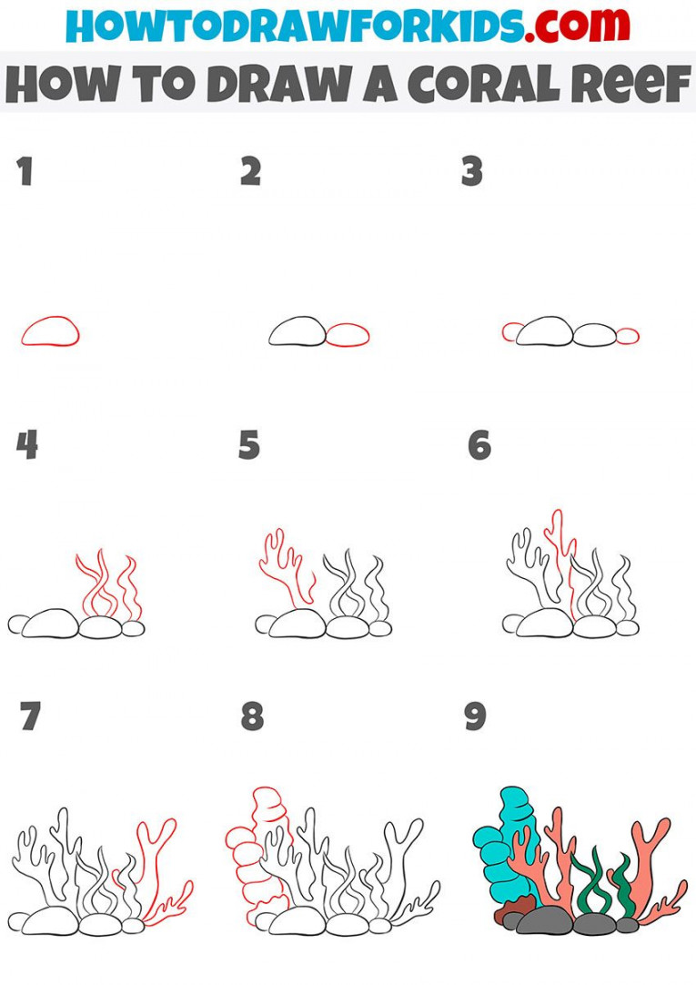 how to draw a coral reef step by step  Coral drawing, Coral reef