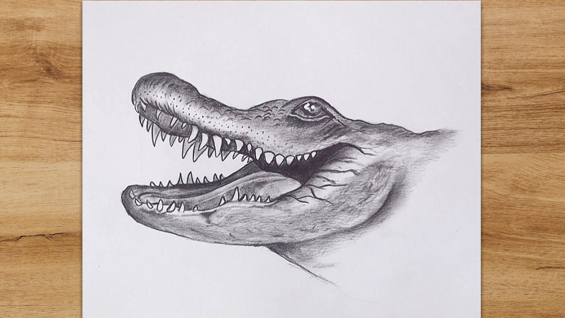 How to Draw a Crocodile Head step by step  Realistic Crocodile Drawing