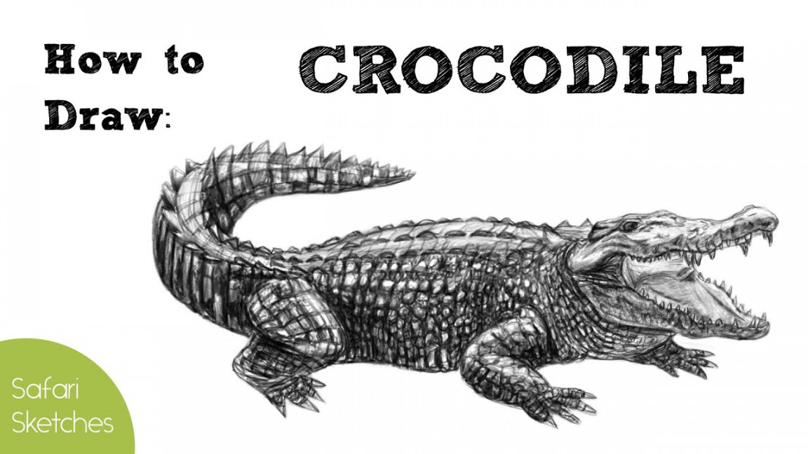 How to Draw a Crocodile  Realistic, Step by Step (Nile Crocodile)