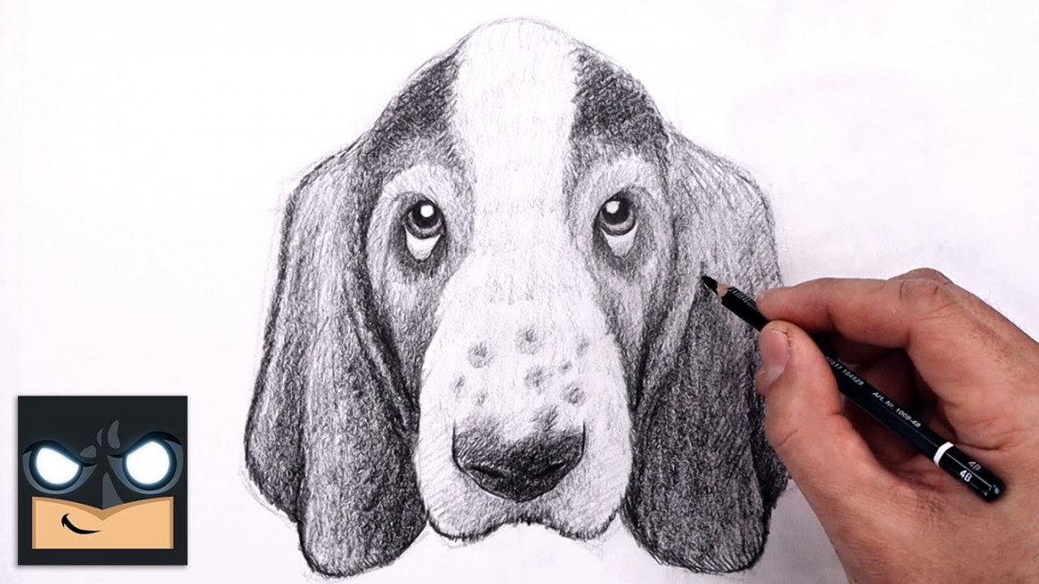 How To Draw a DOG  BASSET HOUND PUPPY  Sketch Sunday