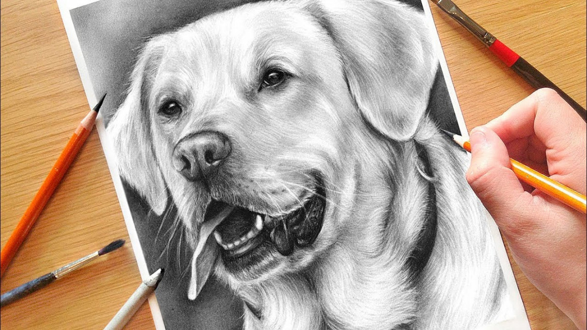 HOW TO DRAW A DOG! Realistic Drawing Tutorial Step by Step  Drawing with  Charcoal