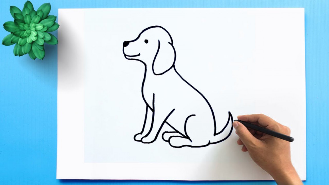 How to Draw a Dog Step by Step 🐕