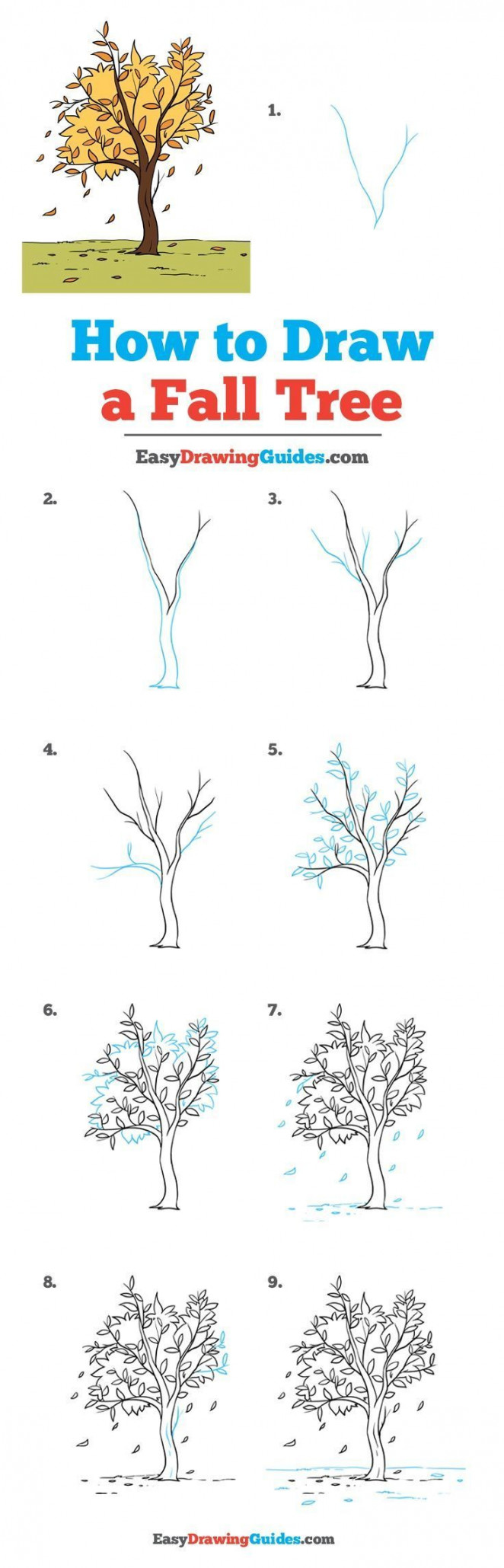 How to Draw a Fall Tree - Really Easy Drawing Tutorial  Tree