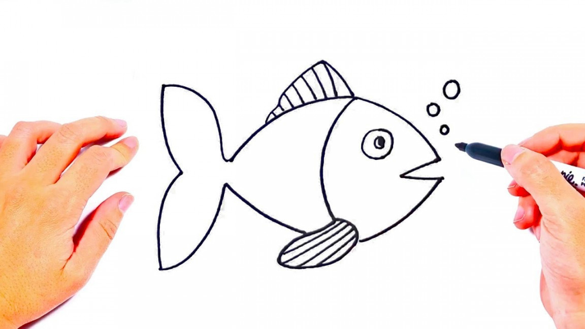 How to draw a Fish Step by Step  Drawings Tutorials for Kids