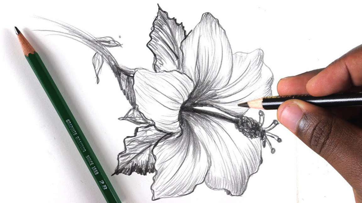 How To Draw A Flower: Step by Step In  Minutes