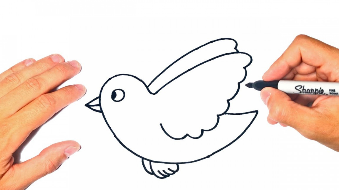 How to draw a Flying Bird Step by Step  Flying Bird Drawing Lesson