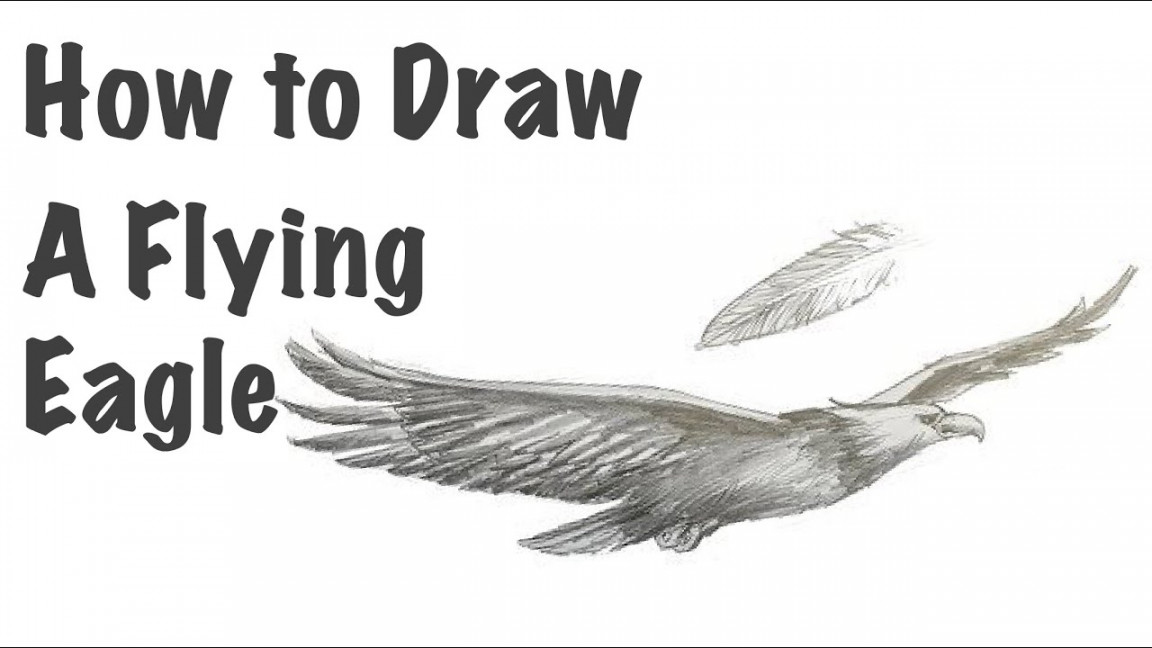 How to Draw a Flying Eagle