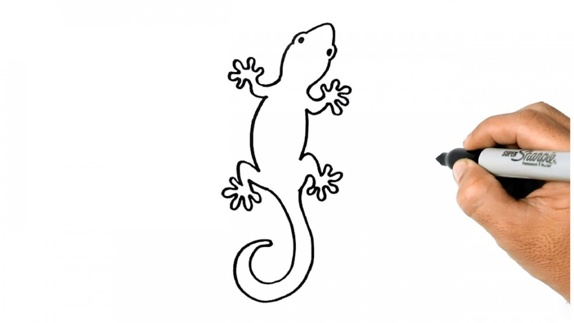 How to Draw a GECKO Easy and Simple