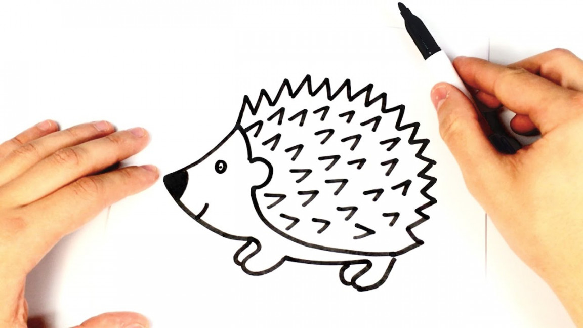 How to draw a Hedgehog for kids  Hedgehog Drawing Lesson