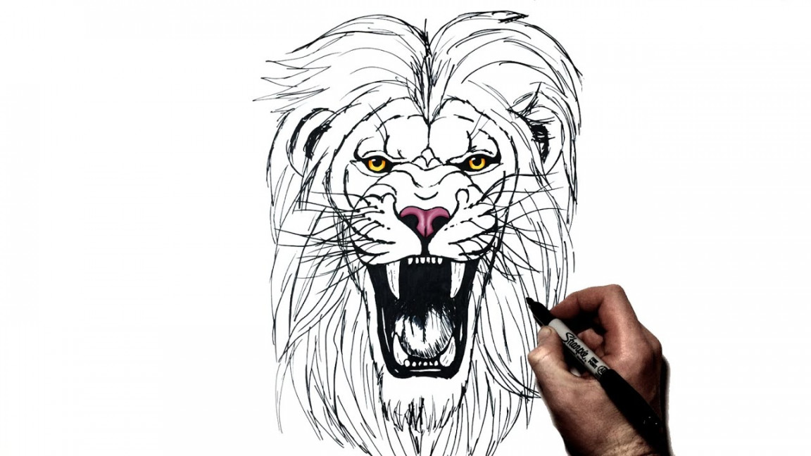 How To Draw a Lion (Roaring)  Step By Step