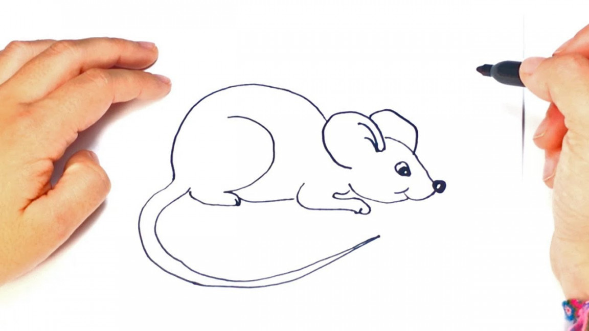 How to draw a Little Mouse  Little Mouse Easy Draw Tutorial