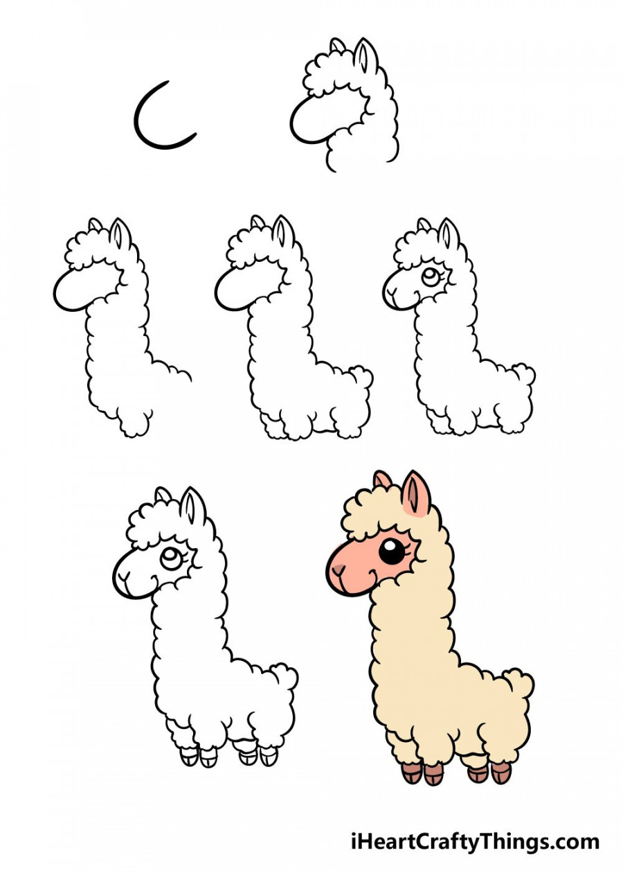 How to Draw A Llama – A Step by Step Guide  Llama drawing, Art