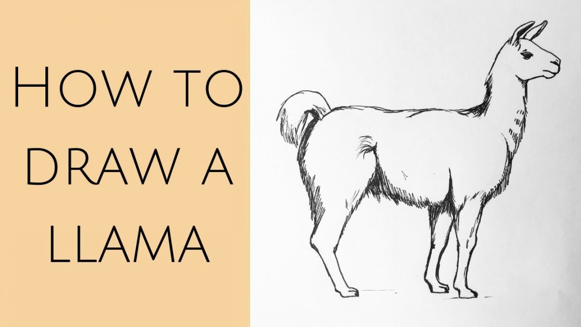 How to draw a llama