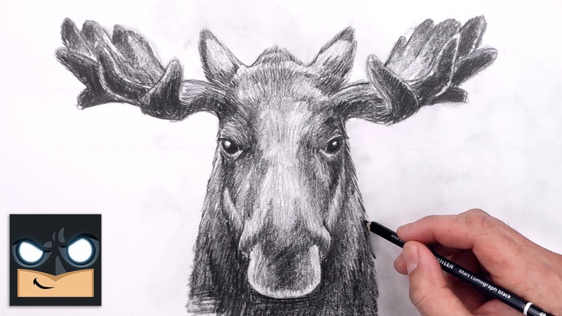 How To Draw a Moose  Sketch Art Lesson (Step by Step)