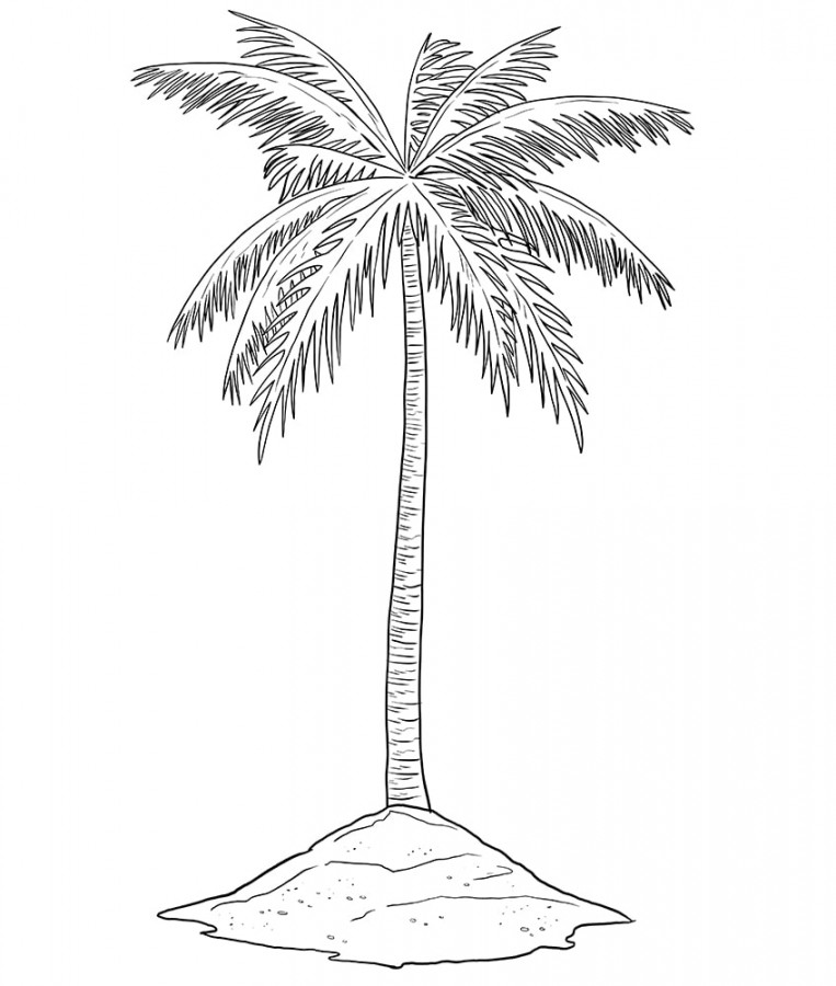 How to Draw a Palm Tree - A Step-by-Step Palm Tree Drawing Tutorial