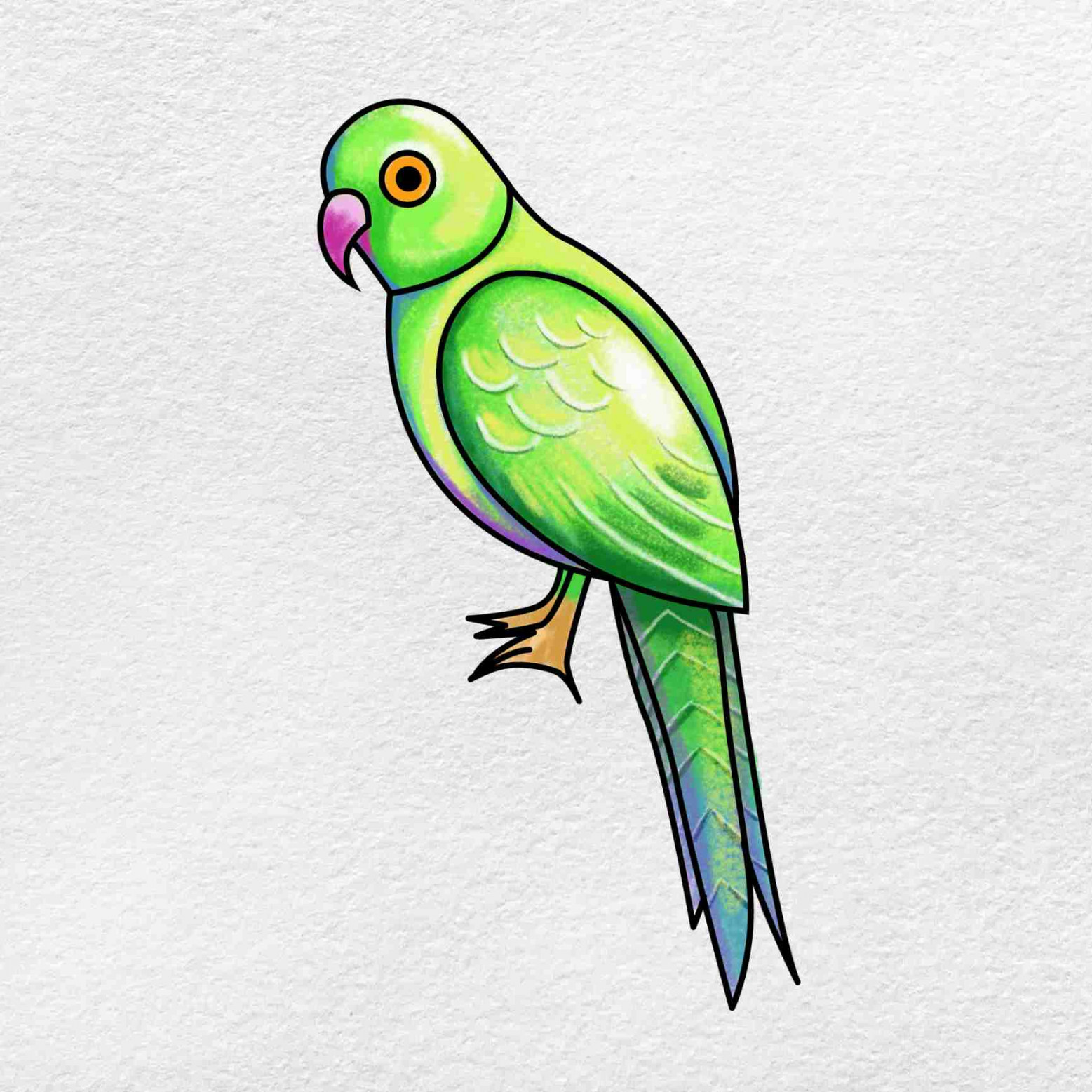 How to Draw a Parrot - HelloArtsy