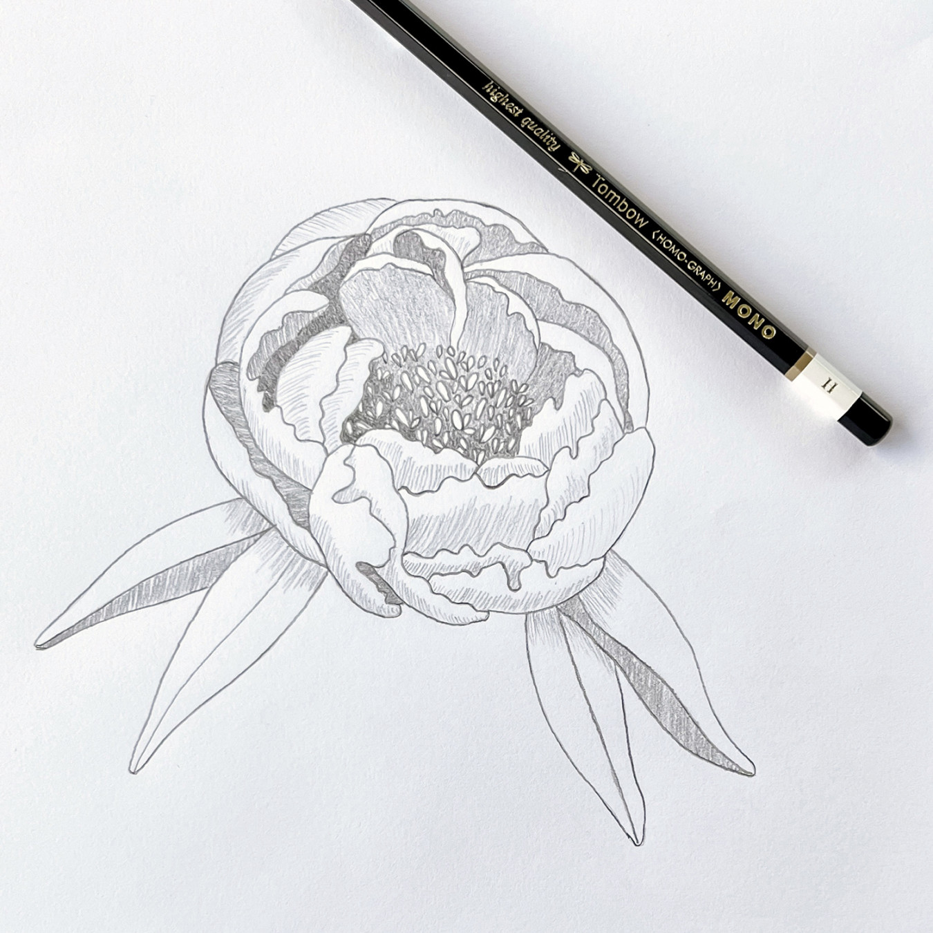 How to Draw a Peony - Tombow USA Blog