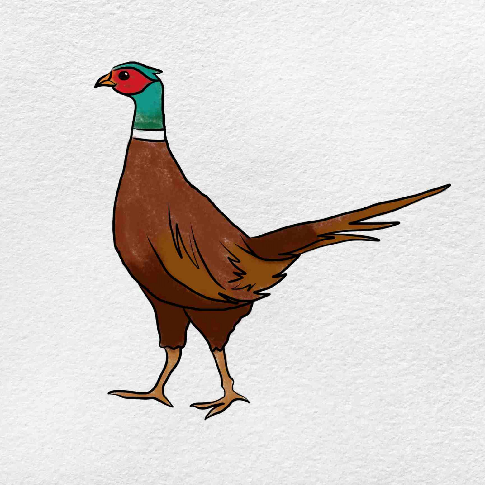 How to Draw a Pheasant - HelloArtsy