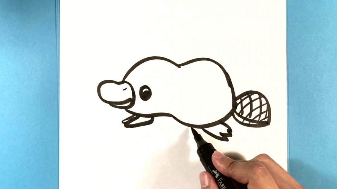 How to draw a Platypus Cute - How to Draw Easy Things