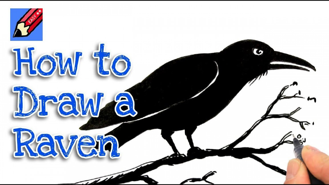 How to draw a Raven Real Easy