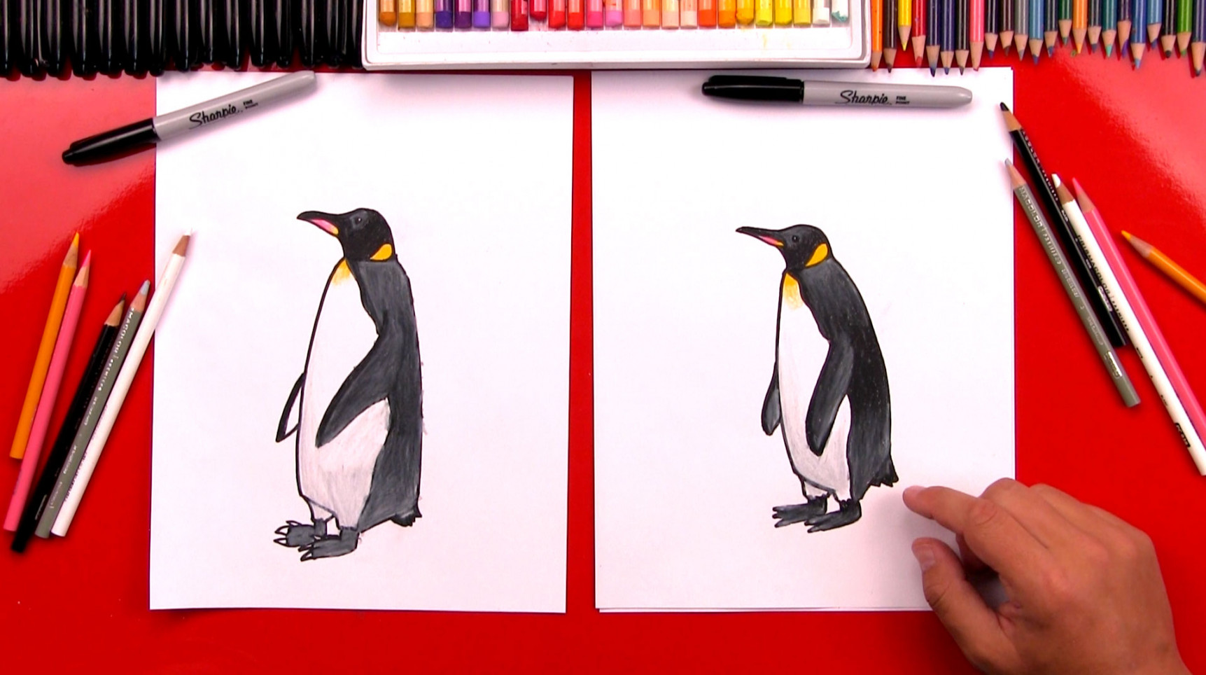 How To Draw A Realistic Emperor Penguin - Art For Kids Hub -