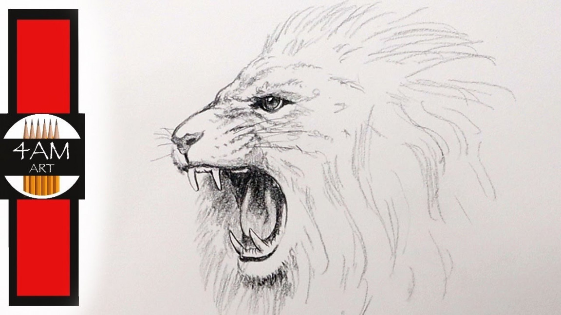 How to Draw a Roaring LION in Pencil, Step by Step