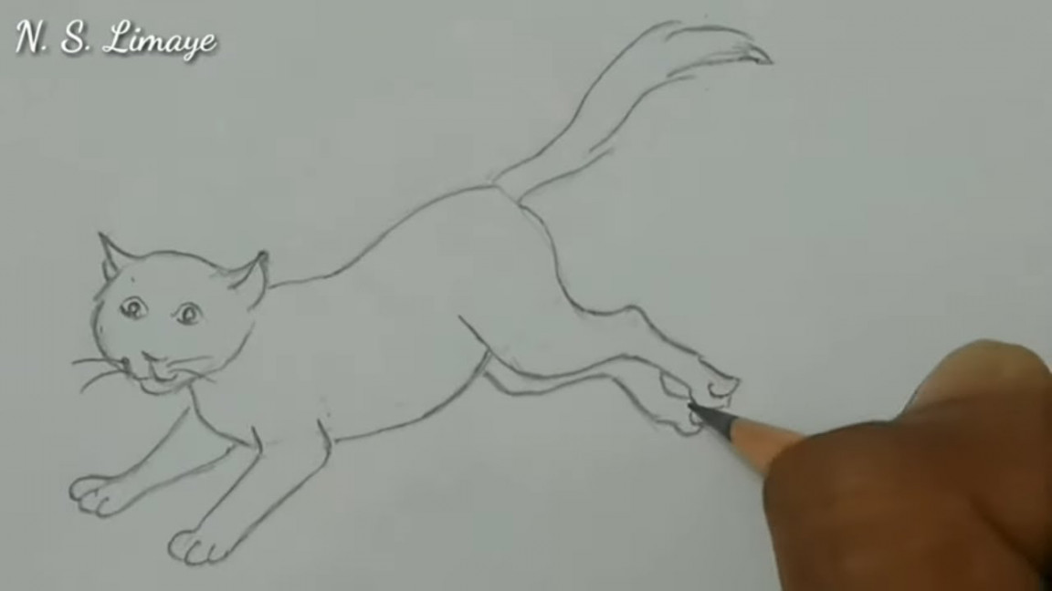 How To Draw A Running Cat  In Easy Way  Step By Step For Beginners  By  N.S