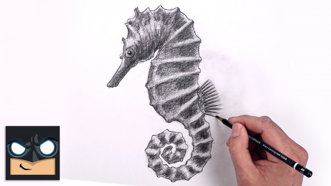 How To Draw a Seahorse  Sketch Art Lesson (Step by Step)