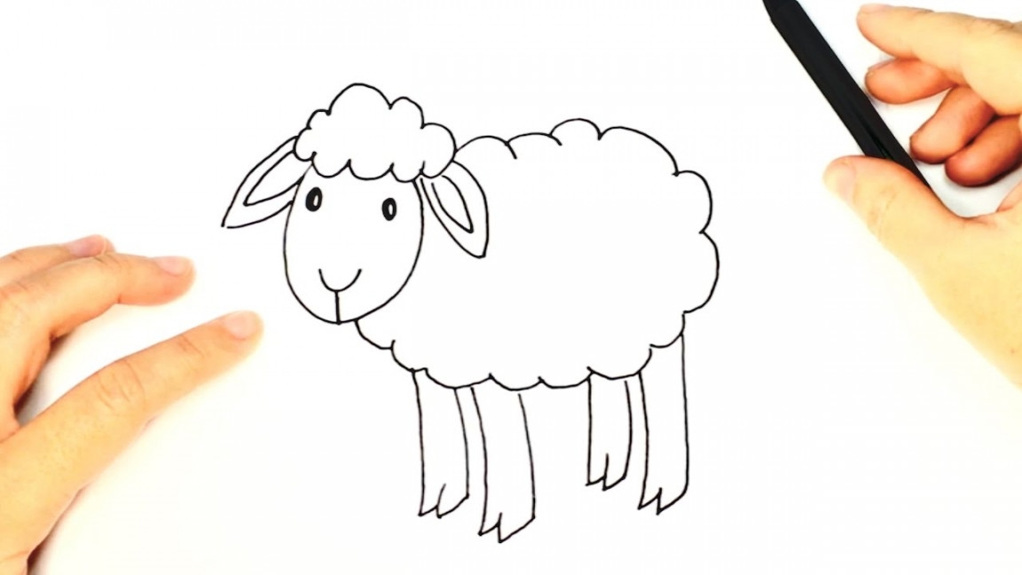 How to draw a Sheep for Kids  Sheep Easy Draw Tutorial