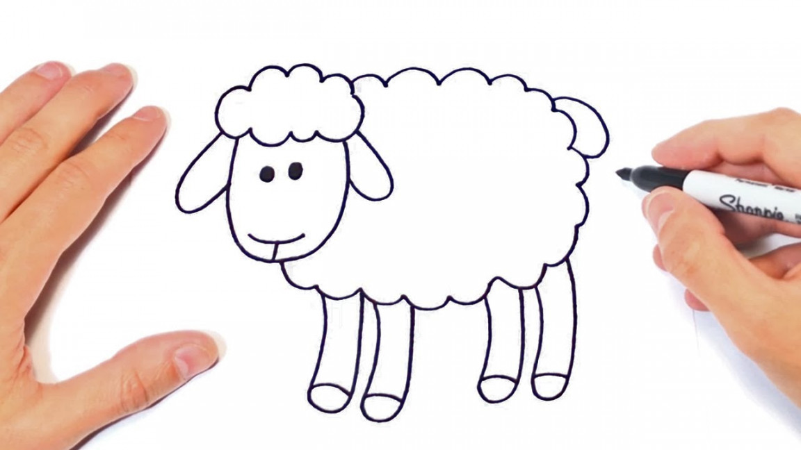 How to draw a Sheep Step by Step  Sheep Drawing Lesson