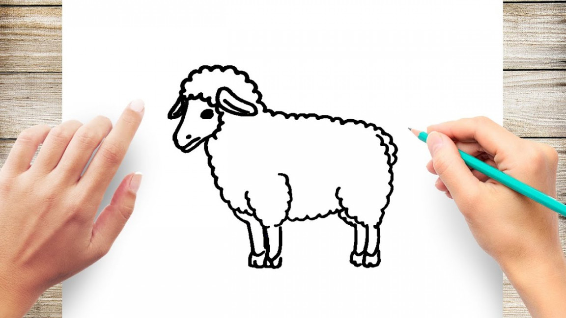 How to Draw a Sheep Step by Step