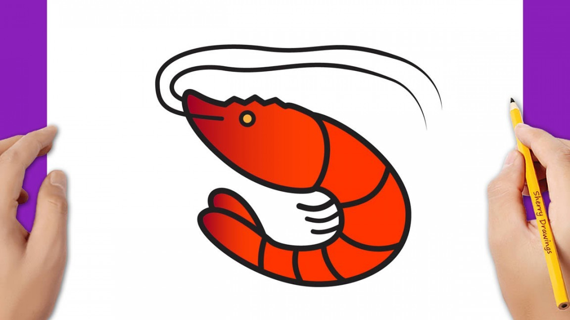 How to draw a shrimp easy