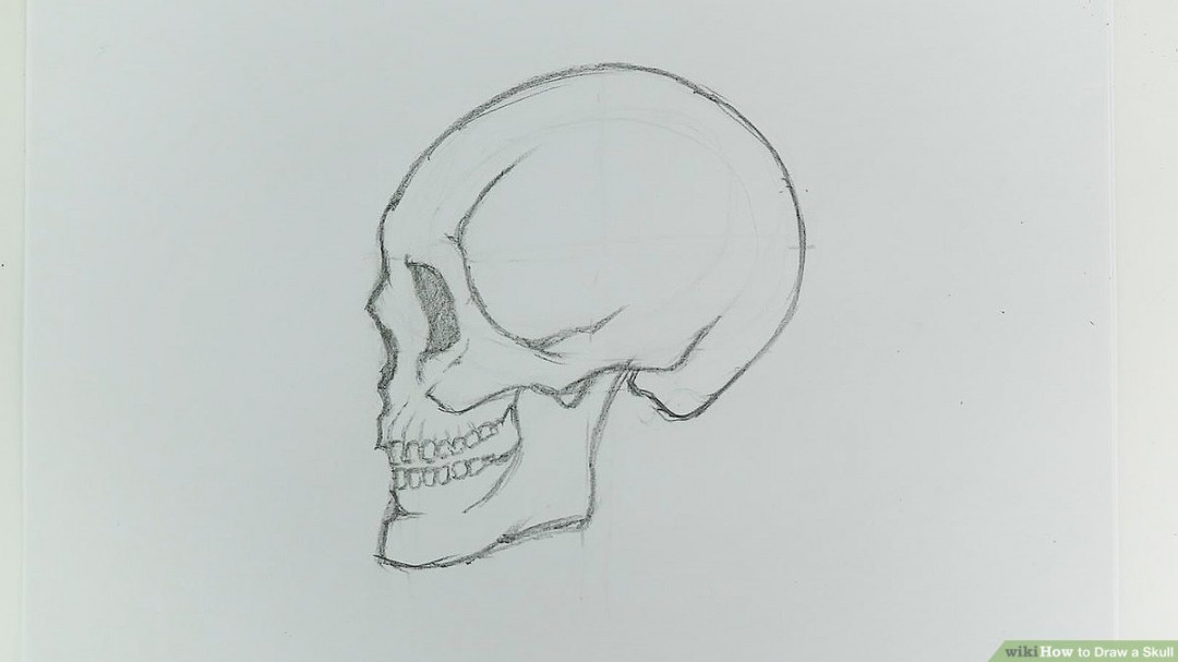 How to Draw a Skull (with Pictures) - wikiHow