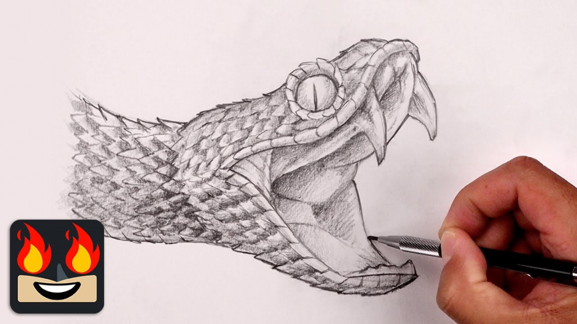 How To Draw a Snake  African Bush Viper Sketch Tutorial