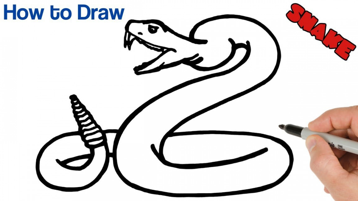 How to Draw a Snake Rattlesnake Easy  Animals Drawings Step by Step