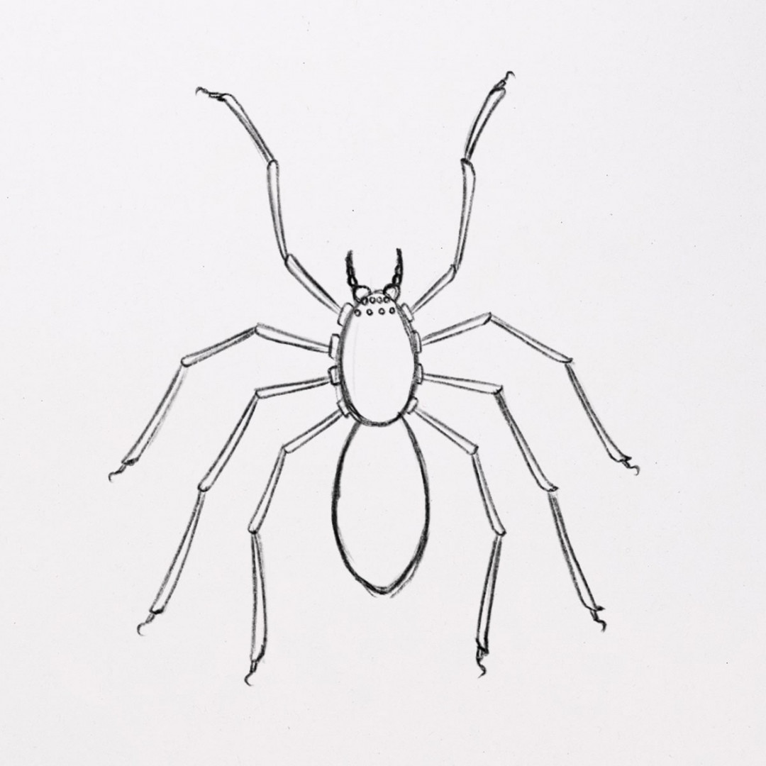 How to Draw a Spider (with amazing details) 🕷️